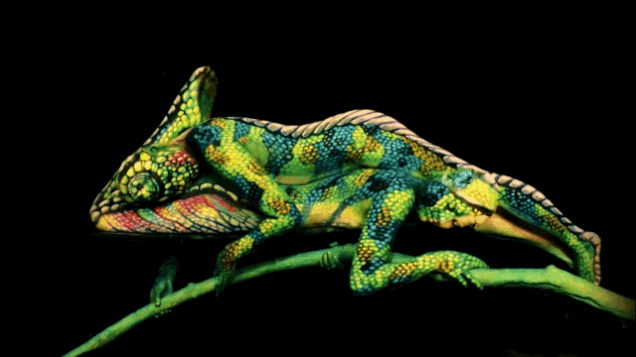 paint chameleon website web tter Simon Q. Walden, FilmPhotoAcademy.com, sqw, FilmPhoto, photography